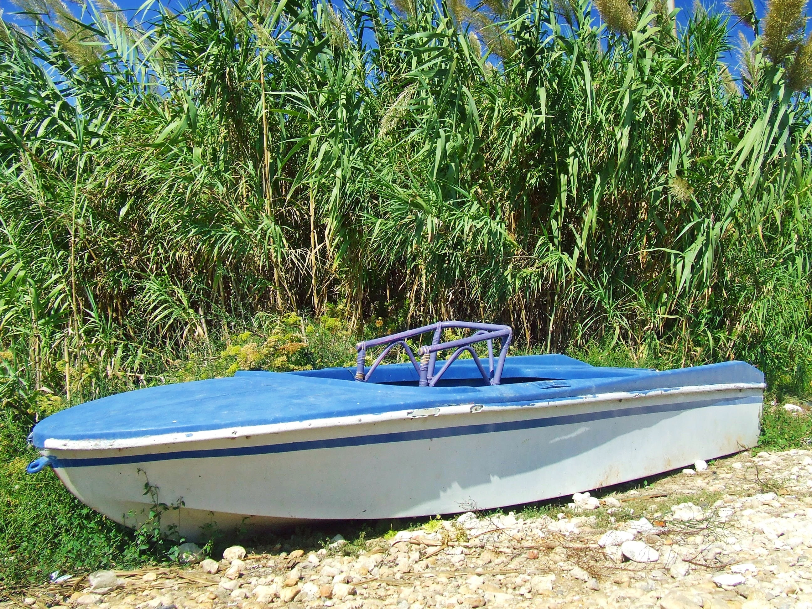 white wooden puntboat