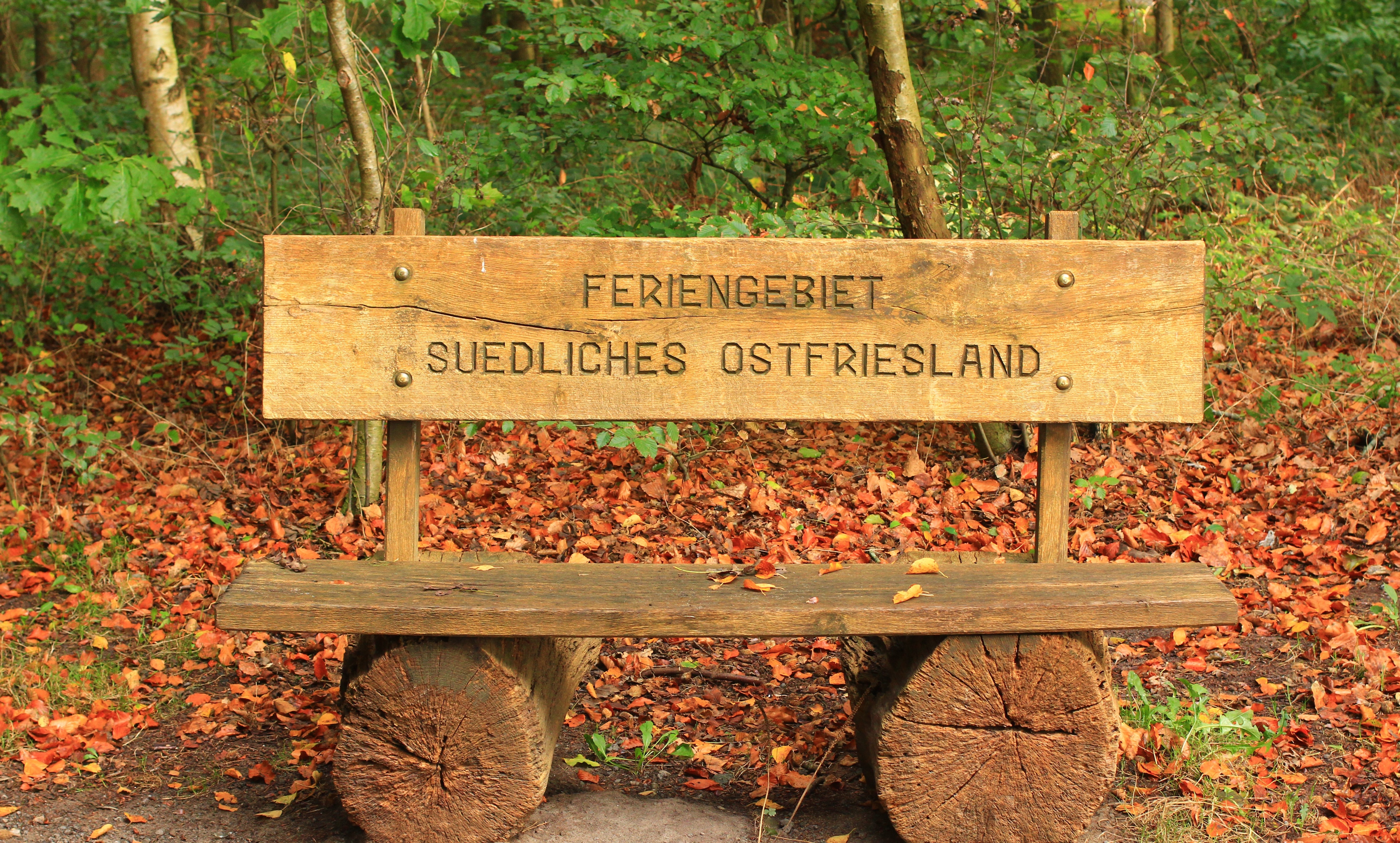 brown wooden chair photo during daytime