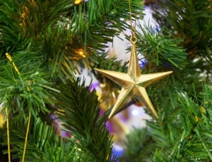 star gold-colored ornament hang on christmas tree thumbnail