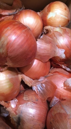 white onions thumbnail