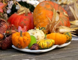 Decoration, Freestyle Bite, Autumn, pumpkin, autumn thumbnail