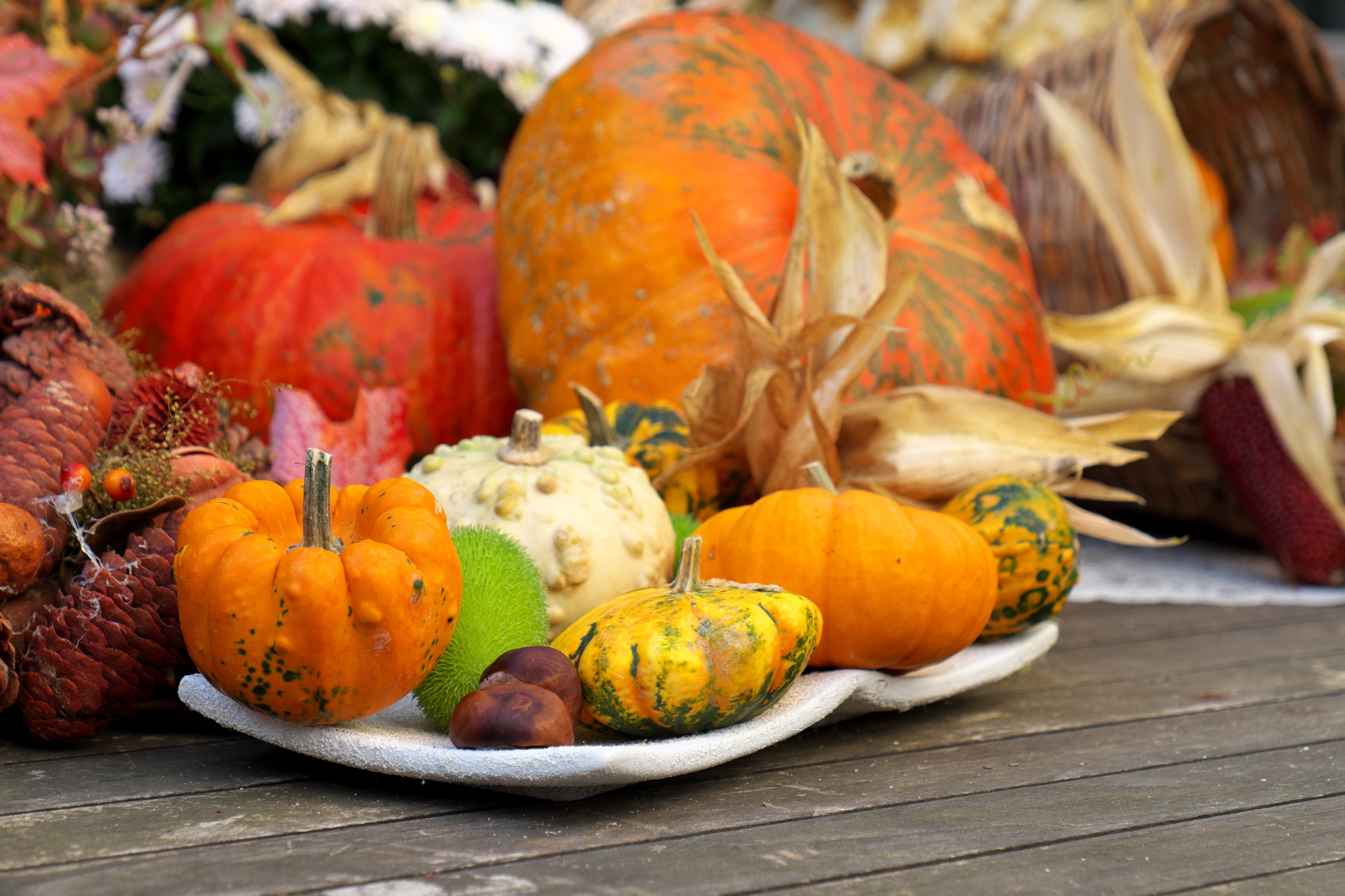 Decoration, Freestyle Bite, Autumn, pumpkin, autumn