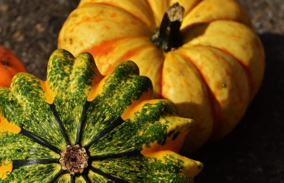 Nature, Decorative Squashes, Pumpkins, pumpkin, vegetable preview