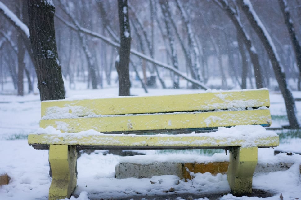 snow ice on yellow wooden bench preview