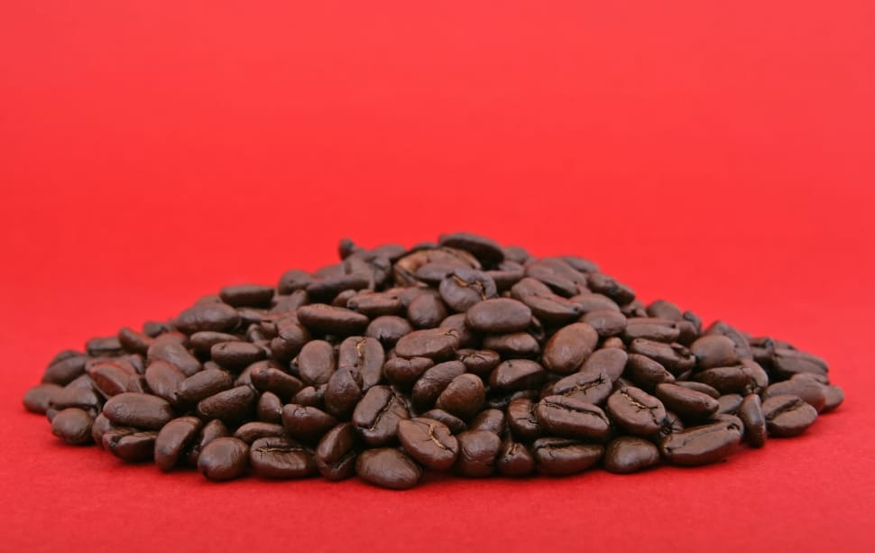 coffee bean preview