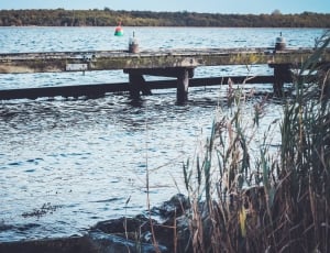 brown wooden dock on body of water thumbnail