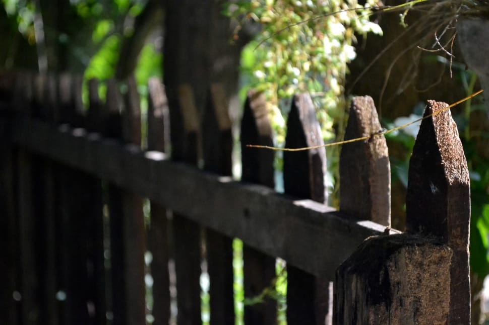 selective focused photo of brown wooden fence preview