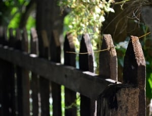 selective focused photo of brown wooden fence thumbnail