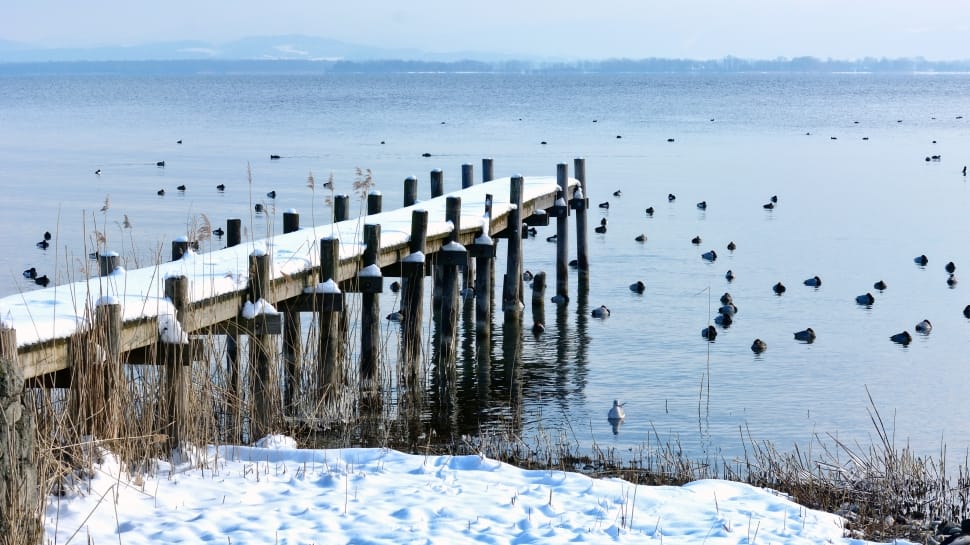 snow coated brown wooden dock during daytime preview