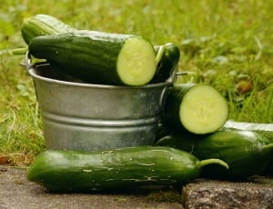 zucchini vegetable thumbnail