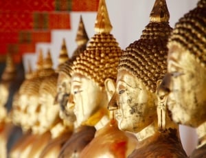 close up photography of gautama thumbnail