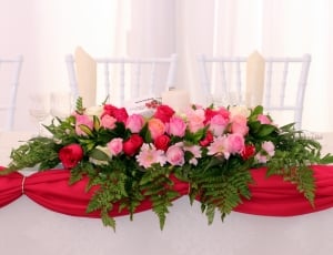 pink and red roses thumbnail