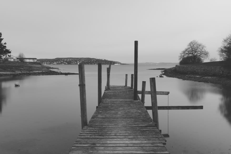 grayscale photo of dock on body of water preview