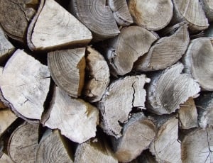 Stack, Brown, Pile, Lumber, Wood, full frame, stack thumbnail