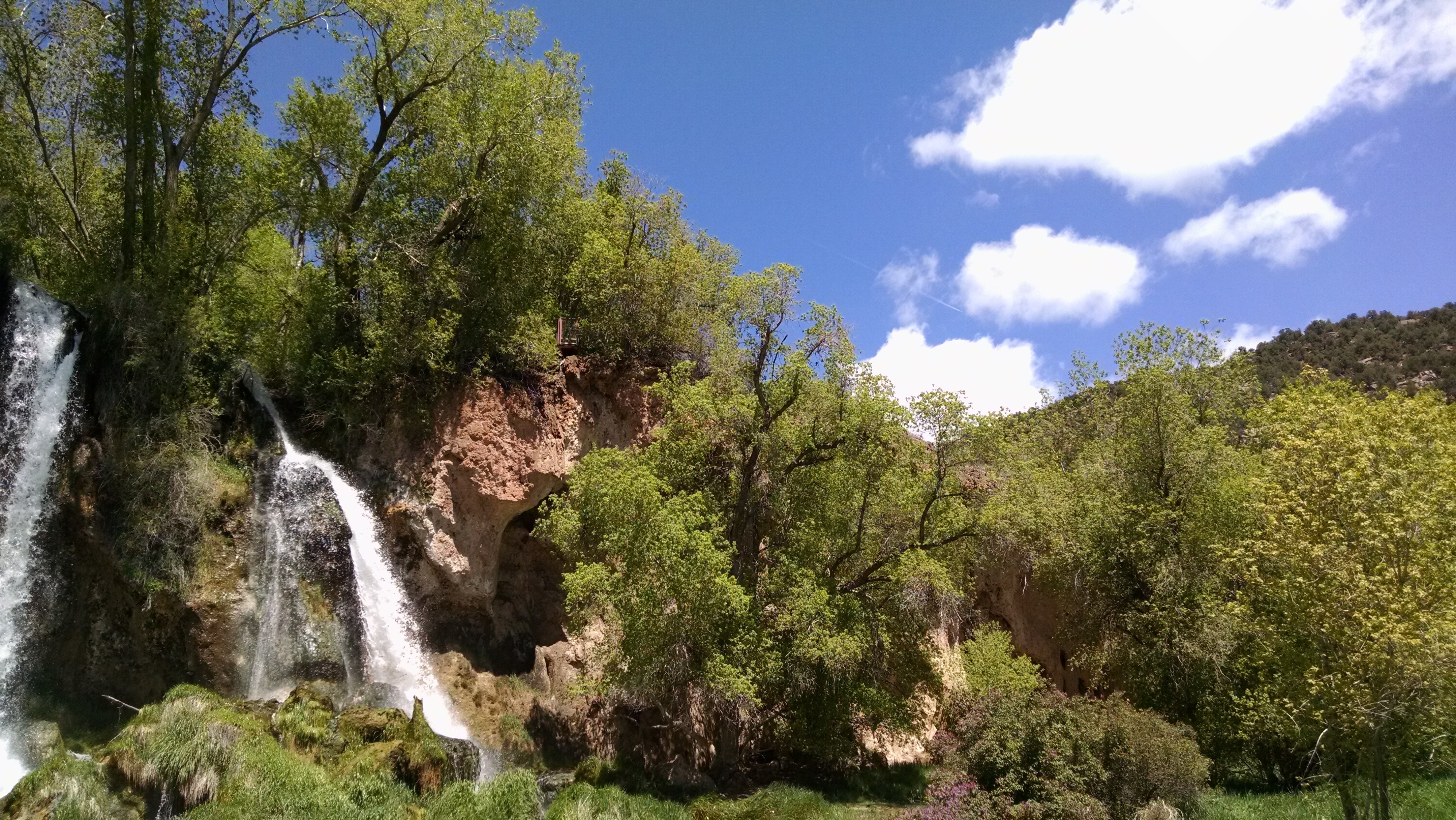 waterfalls and green leaf tree under blue sky photo