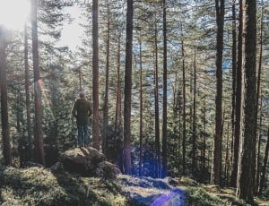 man standing on the rock beside the trees during daytime thumbnail
