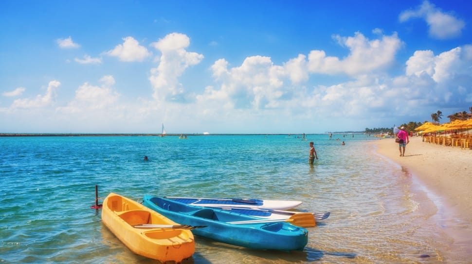 two blue and yellow kayak on seashore preview