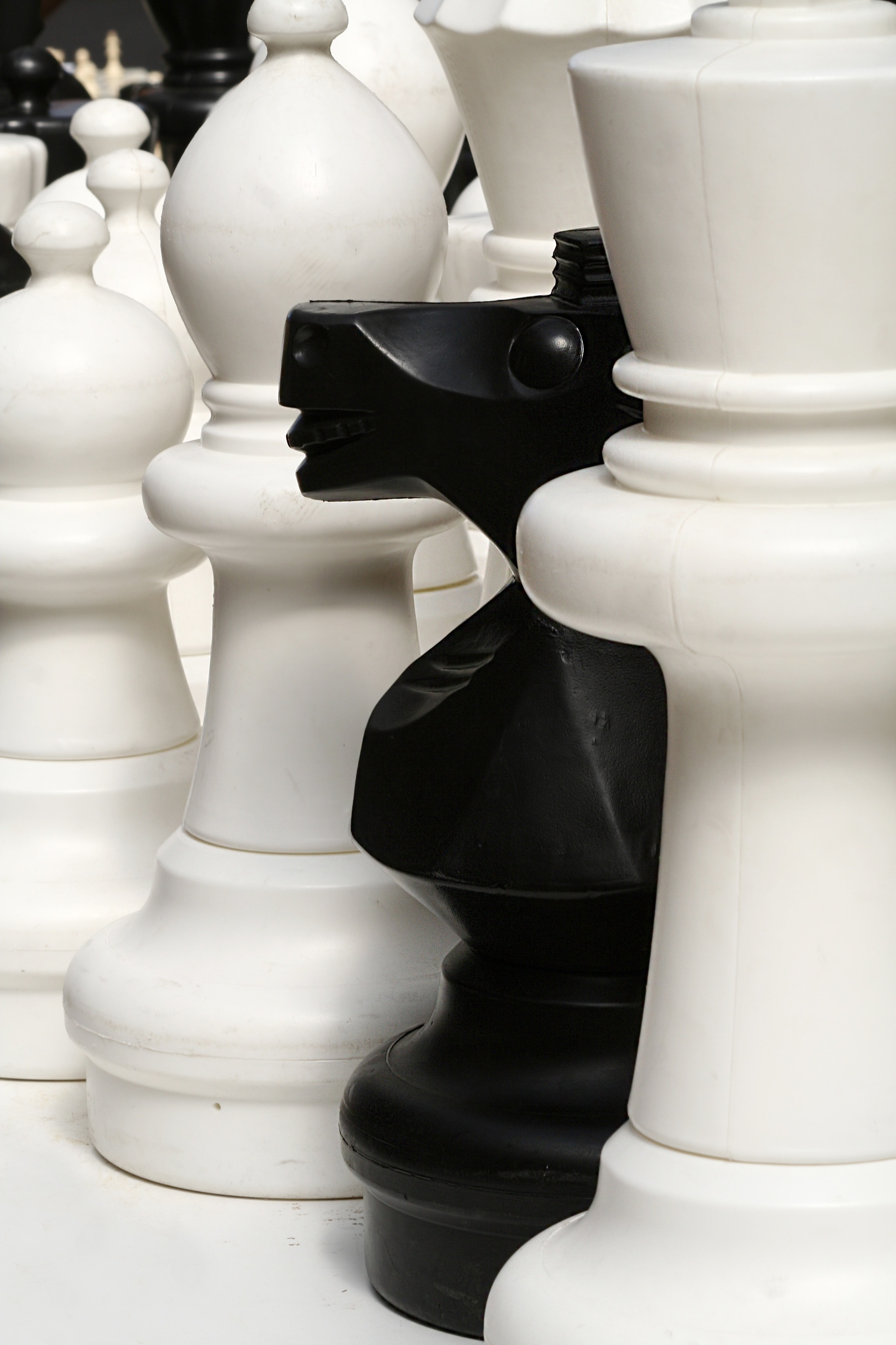 white and black chess chips