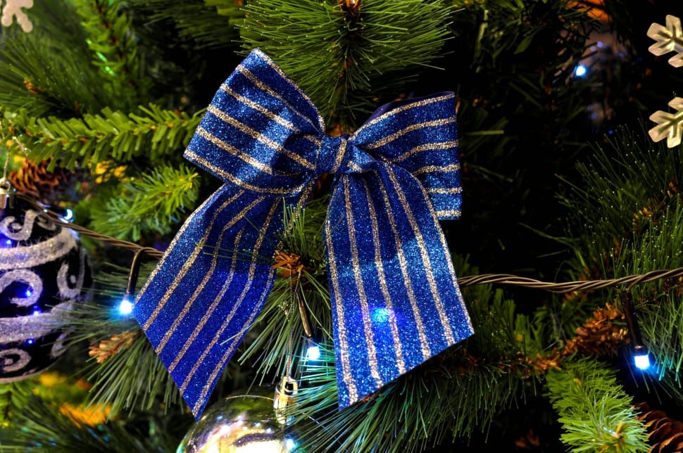 blue and silver ribbon on christmas tree preview