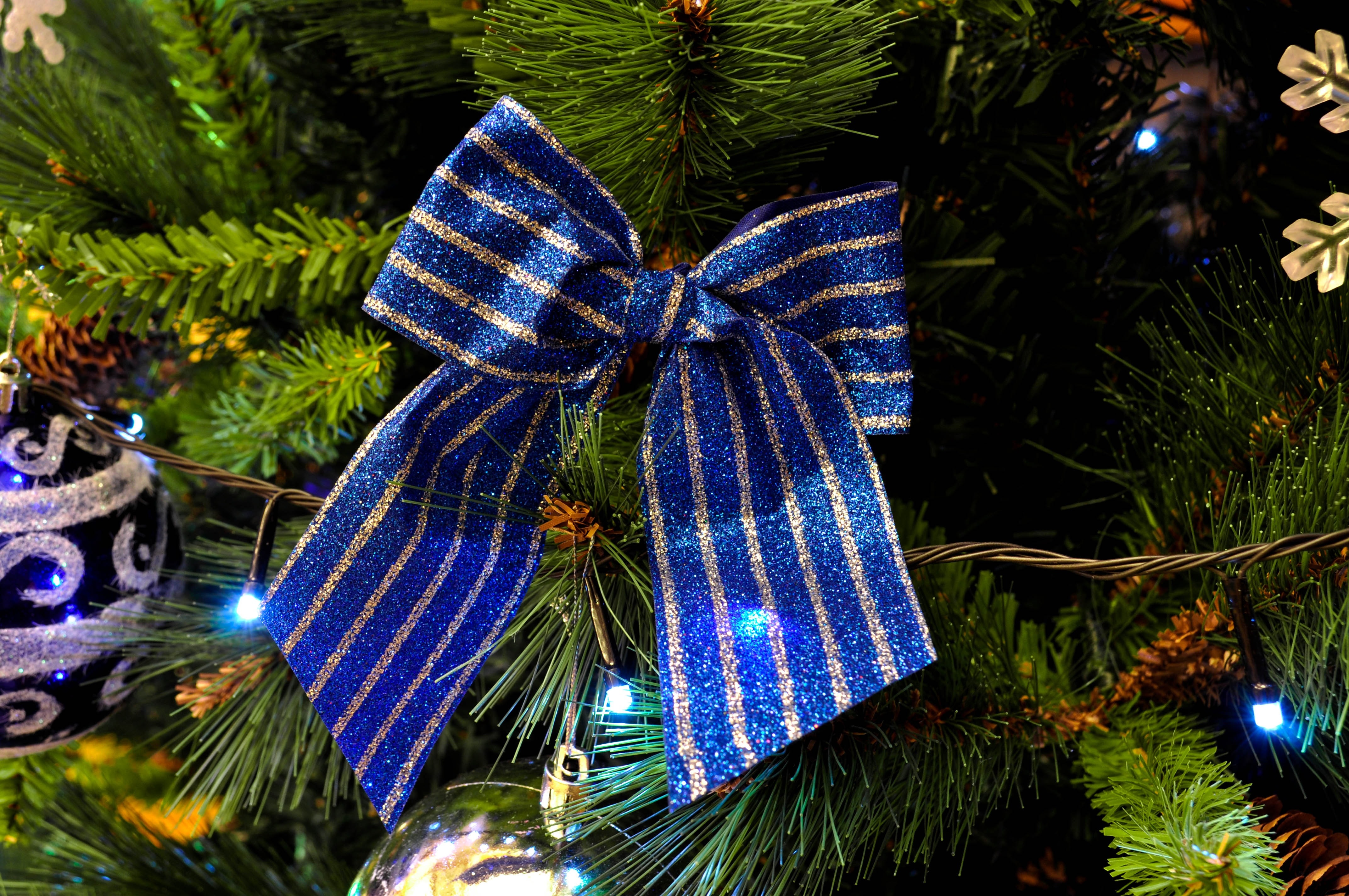 blue and silver ribbon on christmas tree
