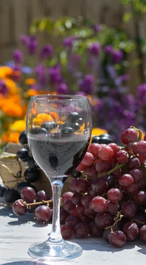 clear long stem wine glass'red grapes fruit thumbnail