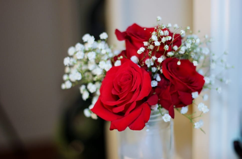 Nature, Floral, Flowers, Bouquet, flower, red preview