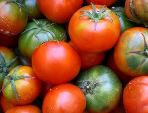 Food, Vegetables, Tomatoes, Tomato, healthy eating, food and drink thumbnail
