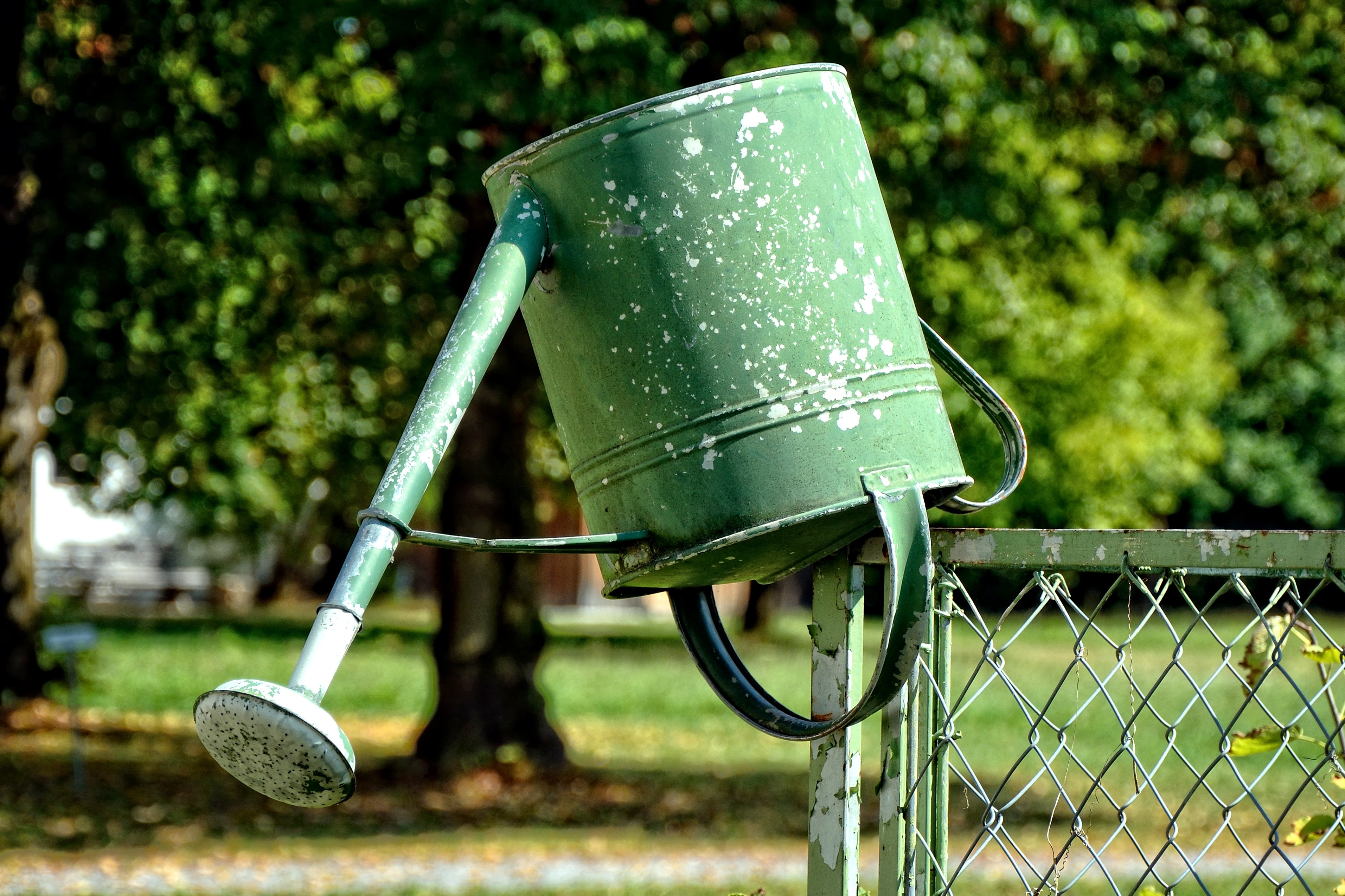 green watering can on green metal chain link fence