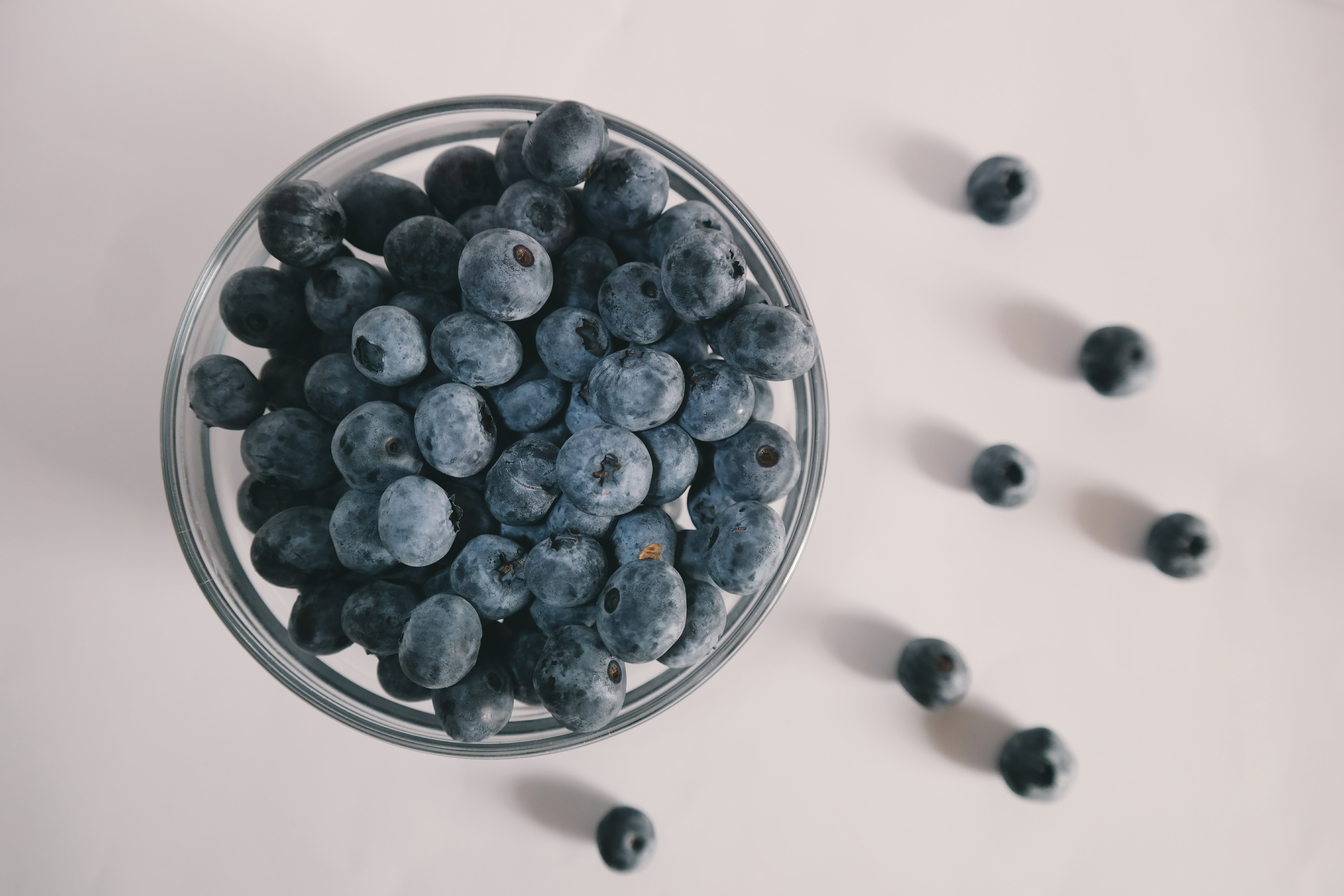 food, blue, blueberries, white