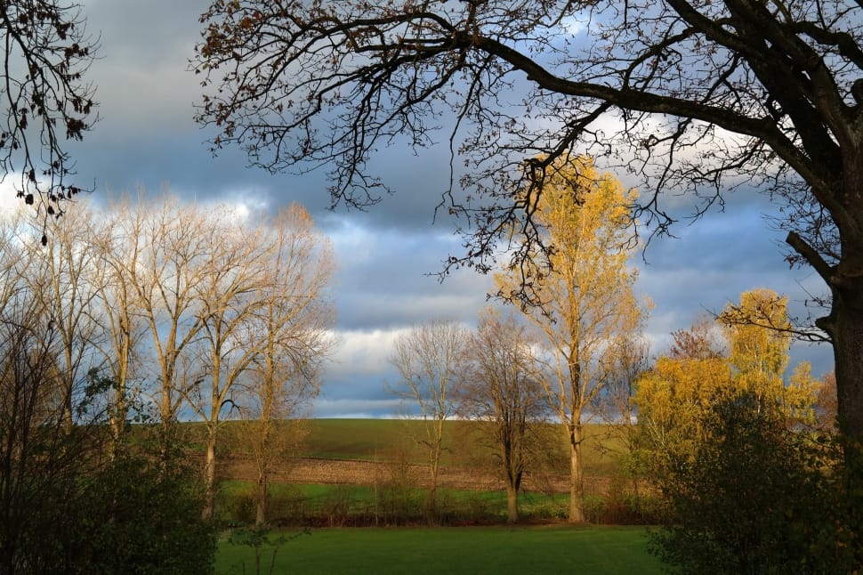 Landscape, Nature, Autumn Mood, Idyll, tree, autumn preview