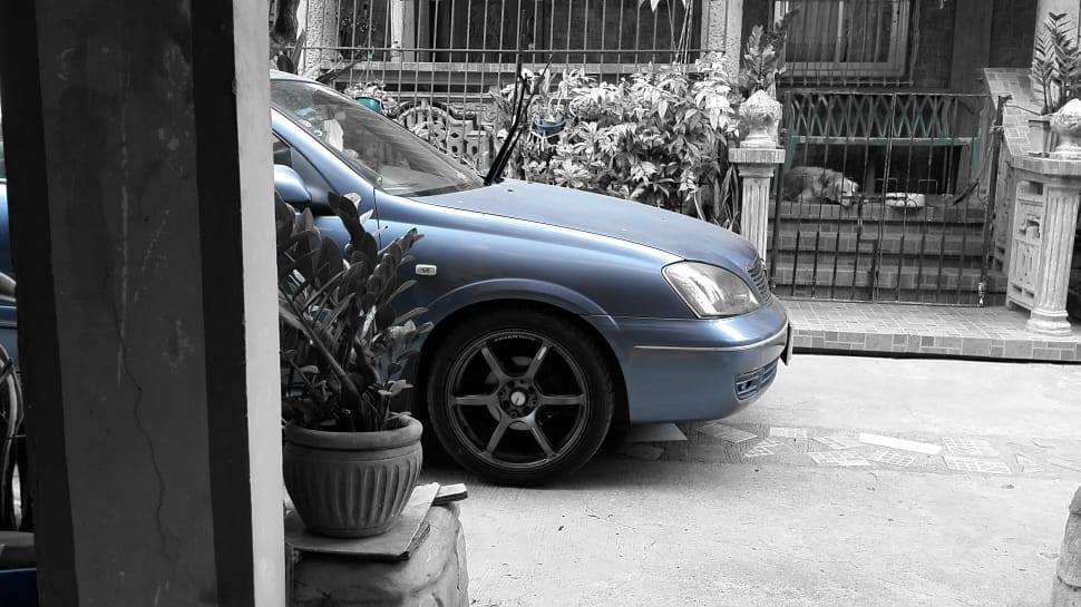 blue car in front of black metal gate outside during daytime preview