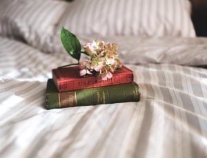 green and brown covered book and white and pink petaled flowers thumbnail