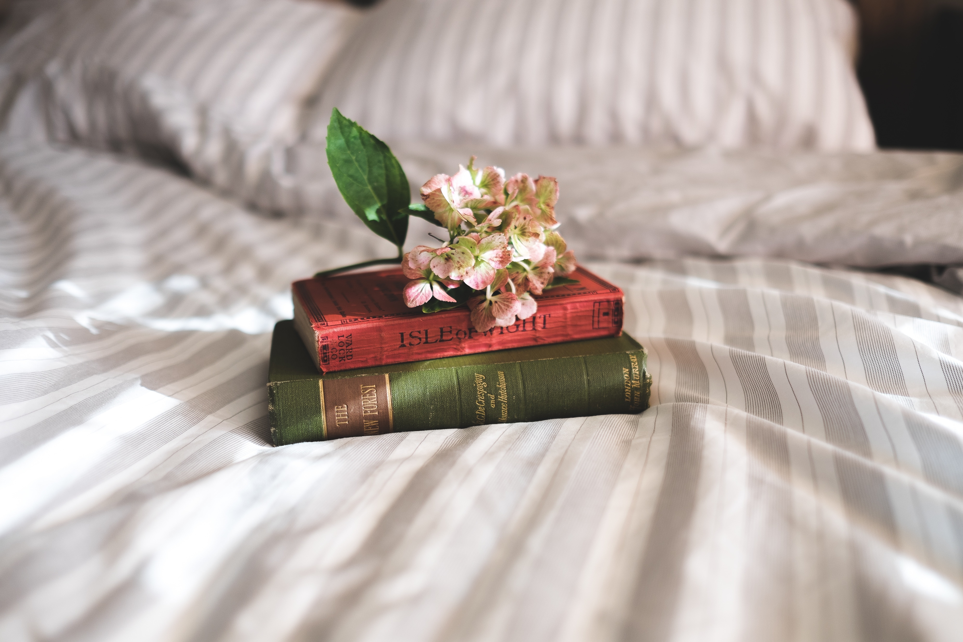 green and brown covered book and white and pink petaled flowers