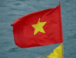 red and yellow vietnam flag thumbnail