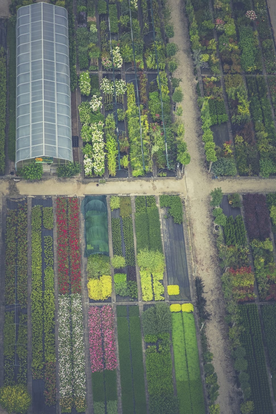 aerial view photo of garden preview