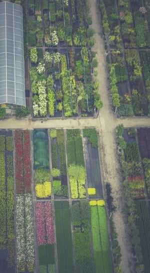 aerial view photo of garden thumbnail