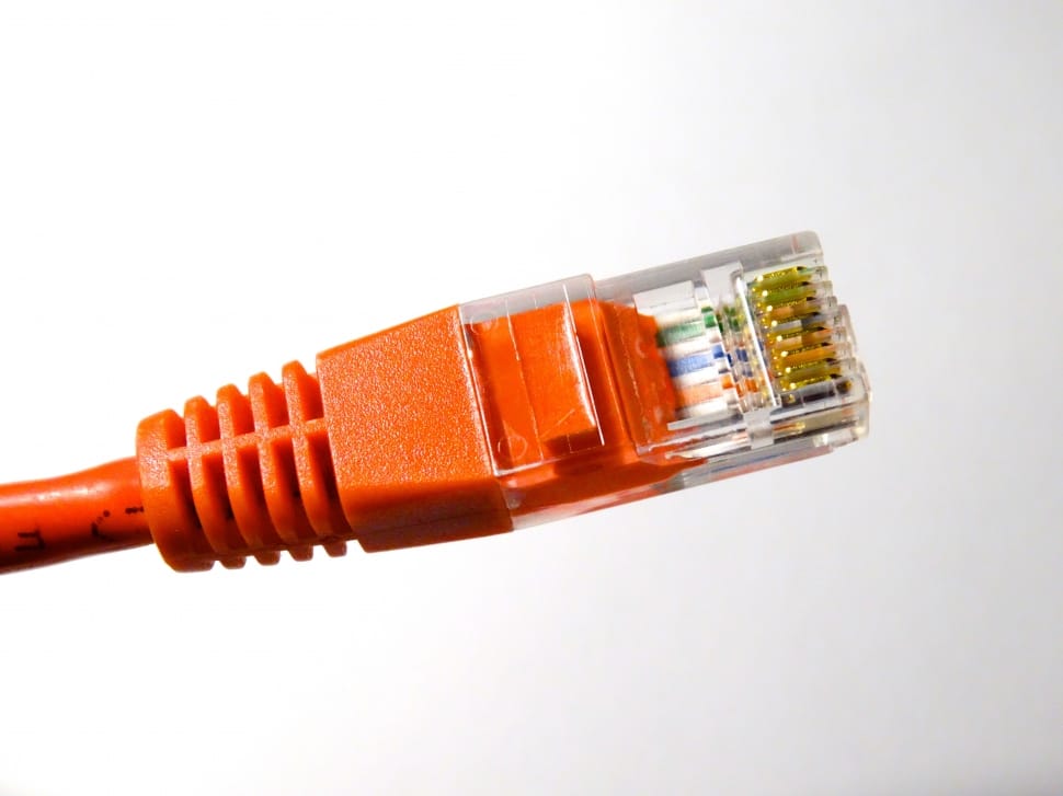 orange networking cable preview