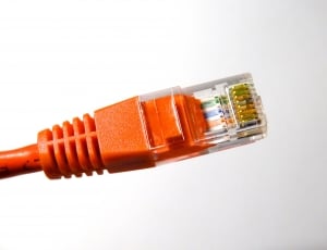 orange networking cable thumbnail