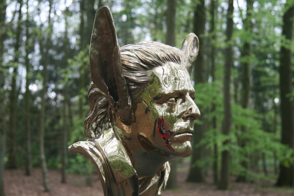stainless steel head bust preview