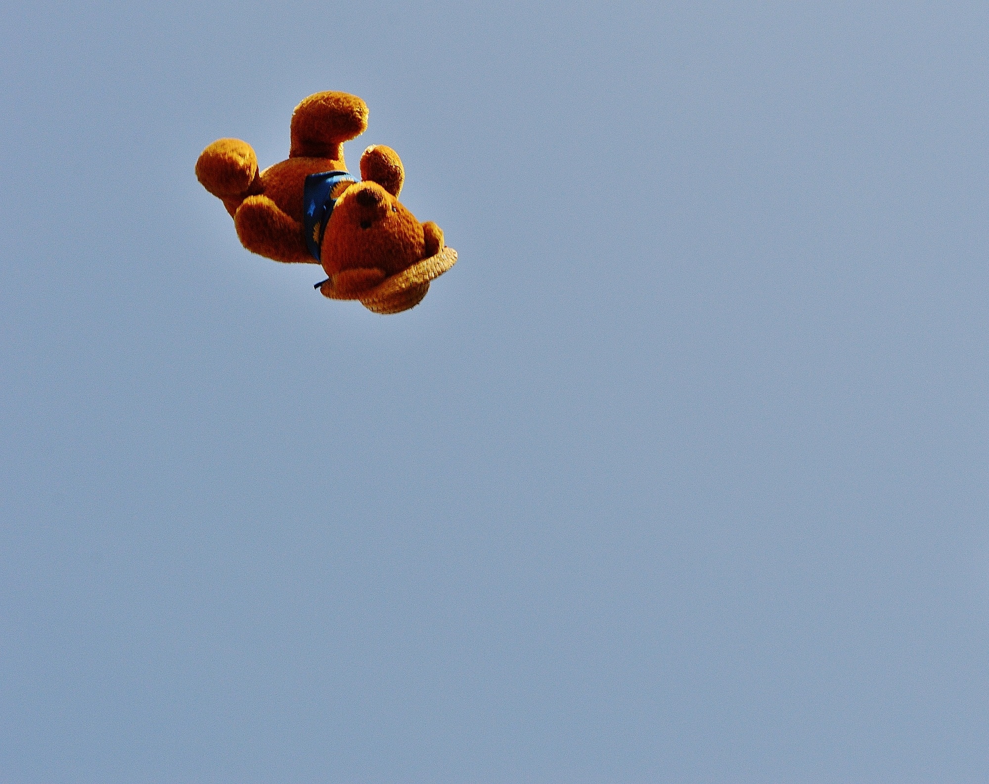 brown bear plush toy on air