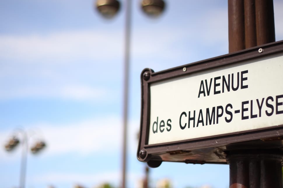 white and brown avenue des champs elyse signage preview