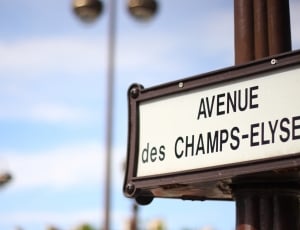 white and brown avenue des champs elyse signage thumbnail