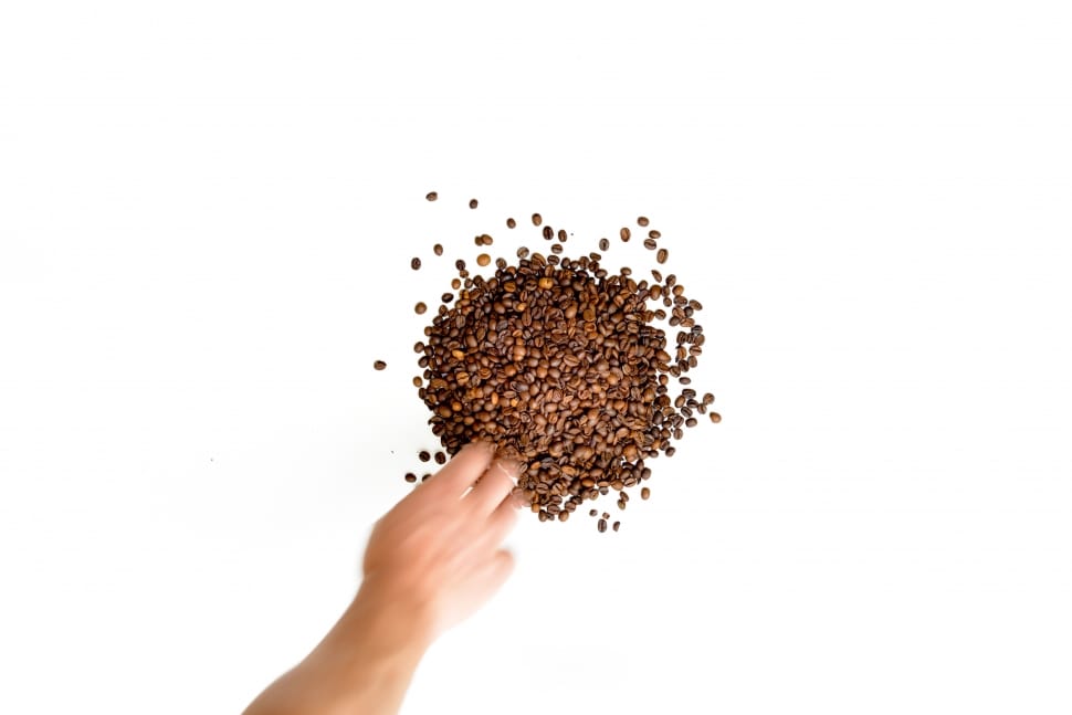brown coffee beans preview