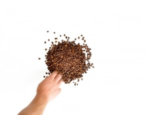 brown coffee beans thumbnail