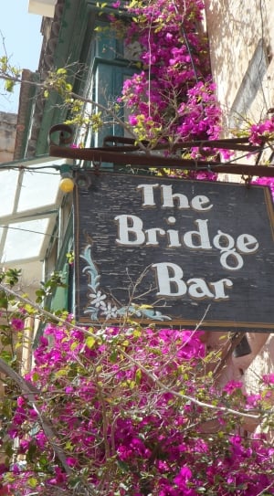 the bridge bar signage thumbnail