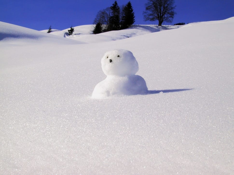 snowman in snow desert preview
