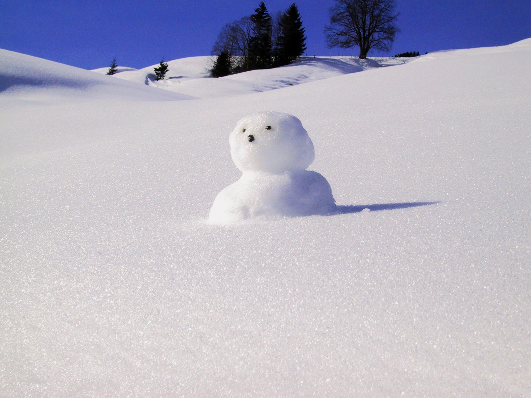 snowman in snow desert