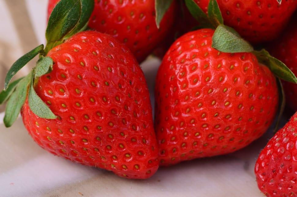 red strawberry fruits preview
