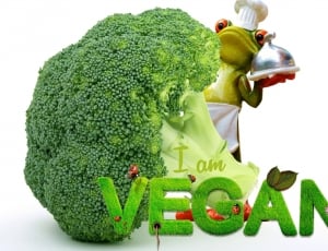 broccoli vegetable thumbnail