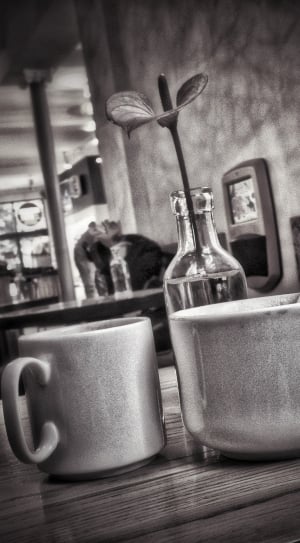 Food, Hot, Beverages, Cup, Coffee, Beans, indoors, bottle thumbnail
